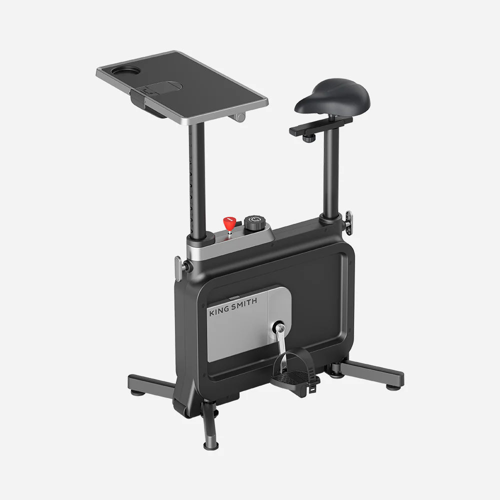 KINGSMITH W1B Foldable Exercise Bike - TQ STORE