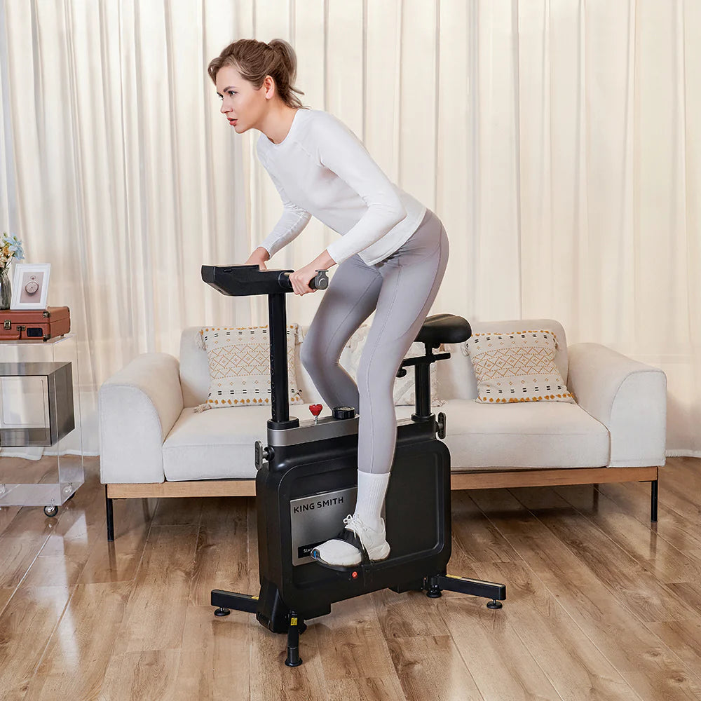 KINGSMITH W1B Foldable Exercise Bike - TQ STORE