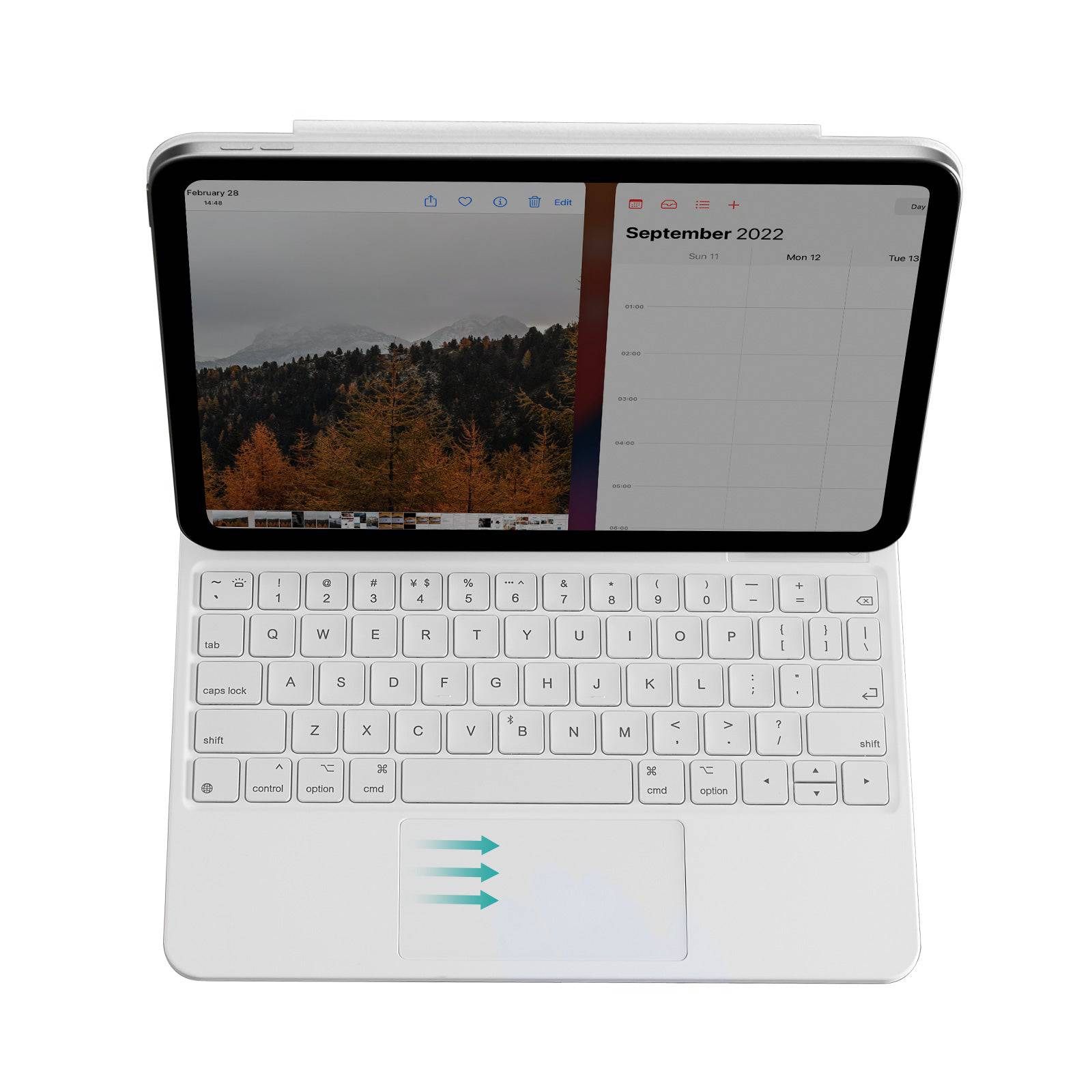 Image alt